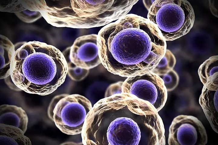 Exosomes