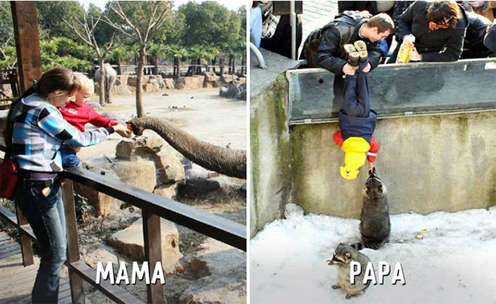 If You Want To Experience Wildlife Safari In A Zoo, Dad Is The One To Go Out With.
