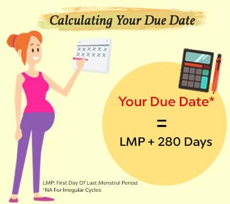 Due Date Calculator Calculate EDD By Conception Date MomJunction