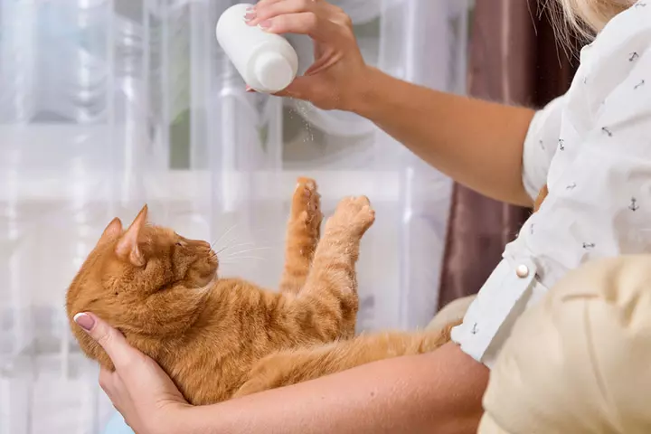 A Dry Shampoo Or A Shampoo For Pets