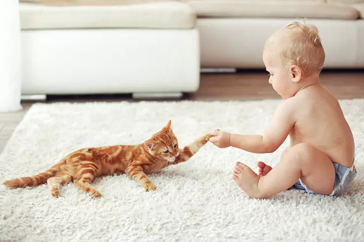 Feather and Fur Allergies