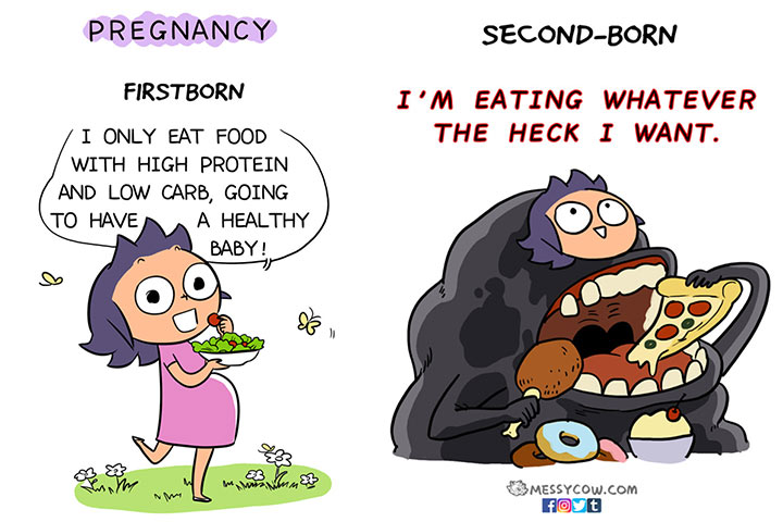 The Pregnancy