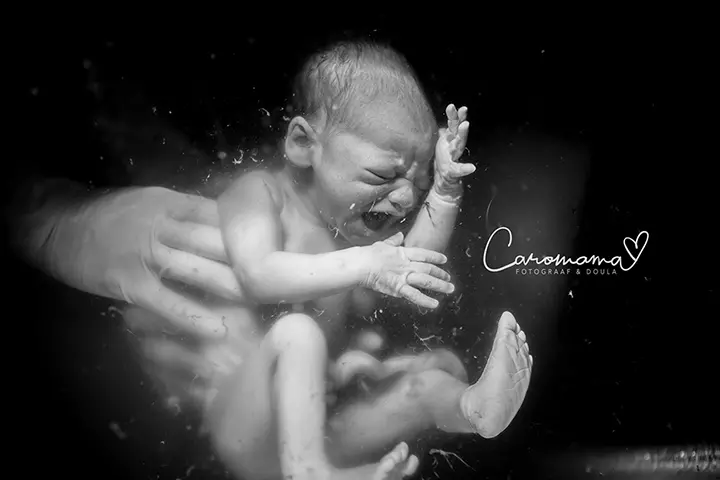 The Screams Of The Newborn, Underwater