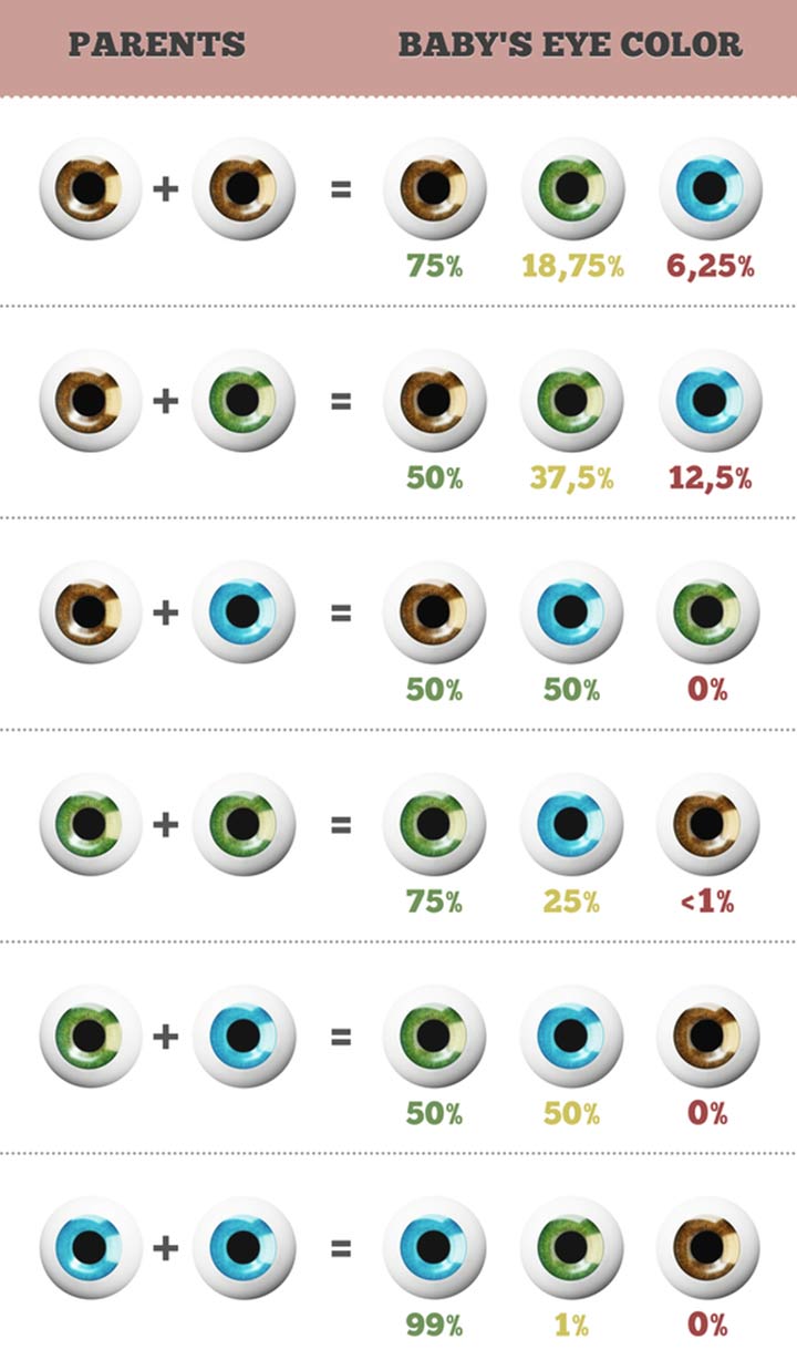What’s The Color Of Your Child’s Eyes