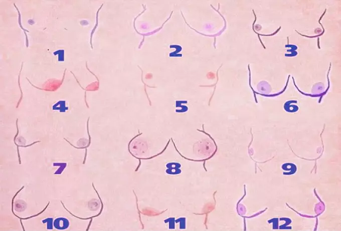 size say about you breast 1 size say about you_breast_1