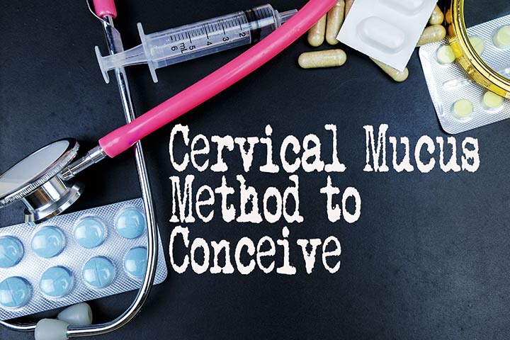 Checking Your Cervical Mucus