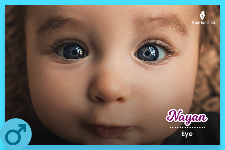 Nayan is the Sanskrit word for "eye"