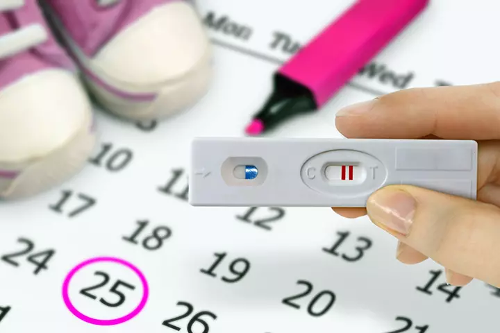 Ovulation Kit