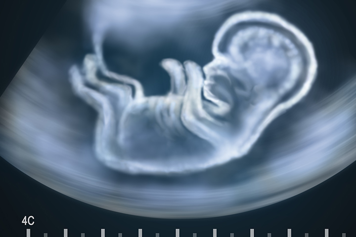 Does The Baby Practice Breathing In Your Womb