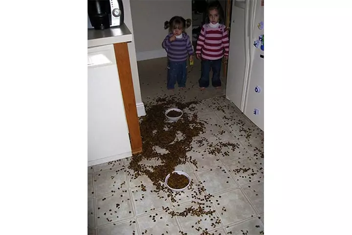 It Was The Dog