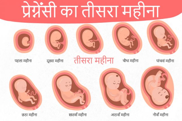 गर्भावस्था का तीसरा महीना - लक्षण, बच्चे का विकास और शारीरिक  बदलाव