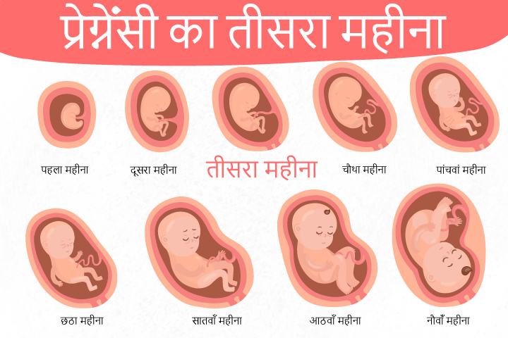 गर्भावस्था का तीसरा महीना - लक्षण, बच्चे का विकास और शारीरिक  बदलाव