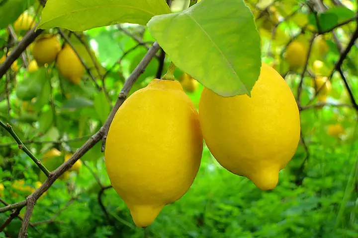 Breast cancer Breast cancer