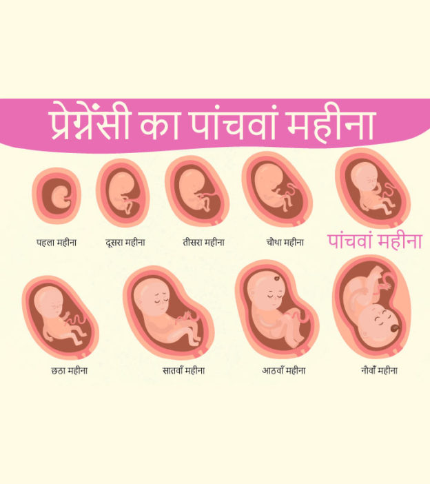 गर्भावस्था का पांचवां महीना - लक्षण, बच्चे का विकास और शारीरिक बदलाव | 5 Month Pregnancy in Hindi