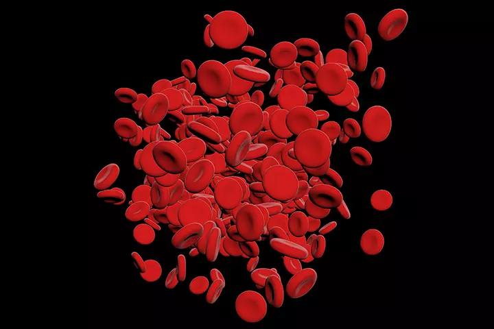 Specialized Specks Of Cells
