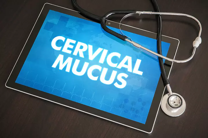 The Cervical Mucus Check