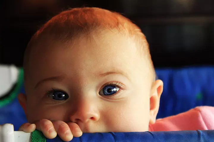 The Eyes