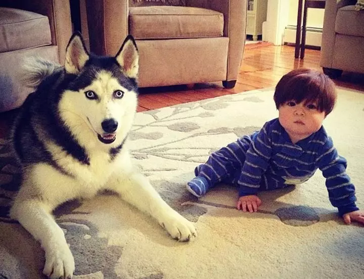 Those Silky Smooth Hair