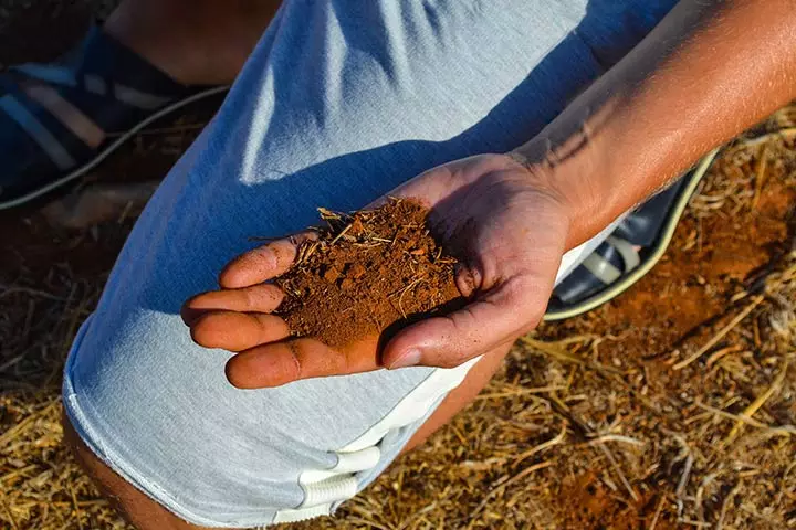 So, Is Eating Soil Safe
