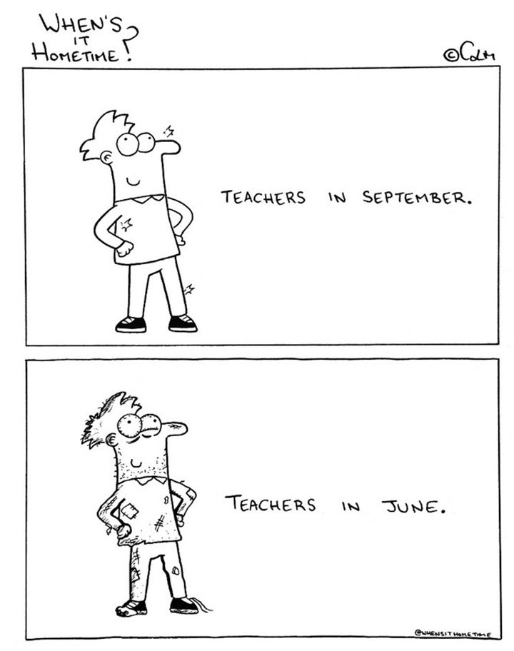 The Many Stages Of A Teacher's Life...