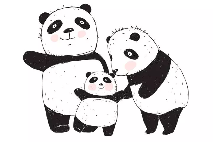 Goldy Luck and the three pandas