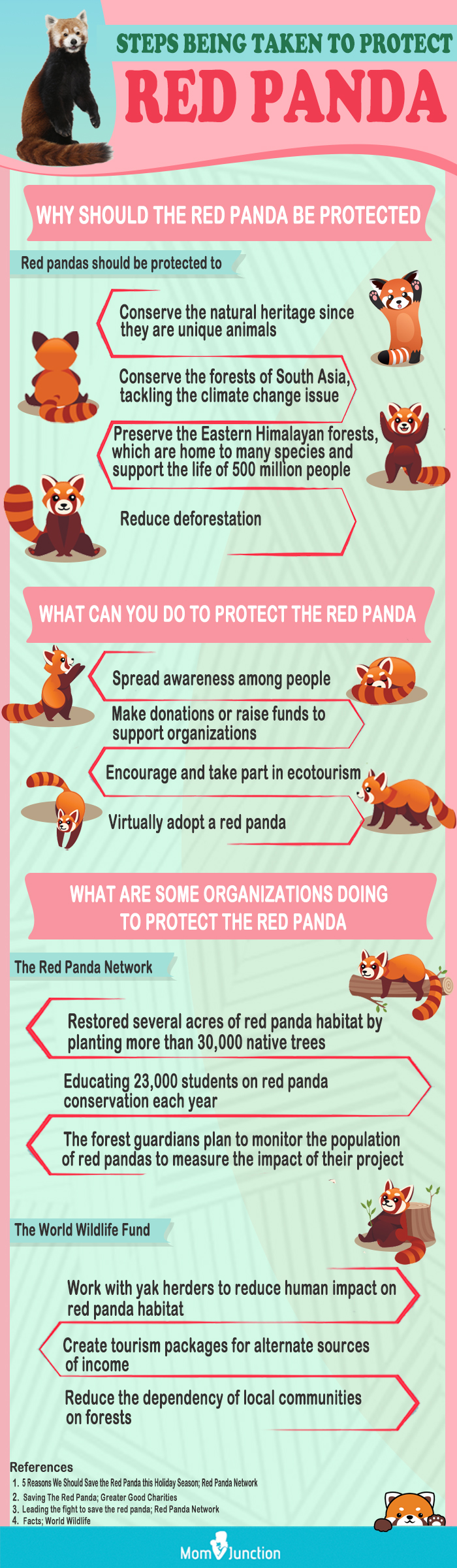 steps being tekan to protect red panda (infographic)