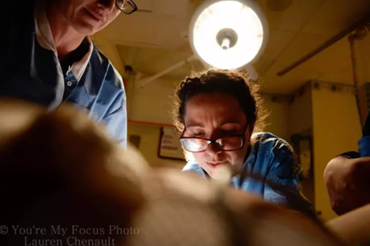 The Doctors At Work