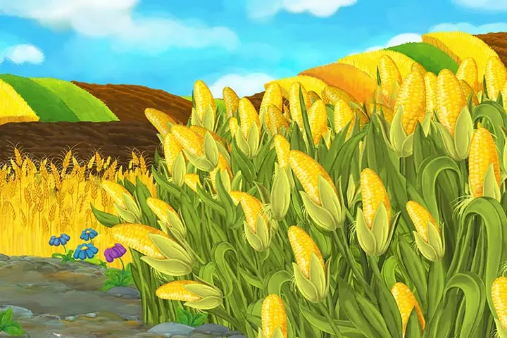 The Ear of a Corn fairy tale for kids