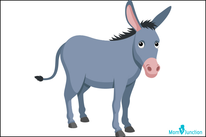 How to draw a donkey final step