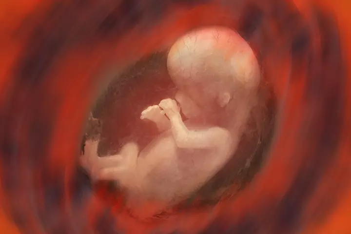 Gestational Age Of The Fetus