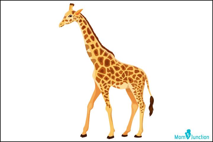 How To Draw A Giraffe An Easy StepByStep Tutorial