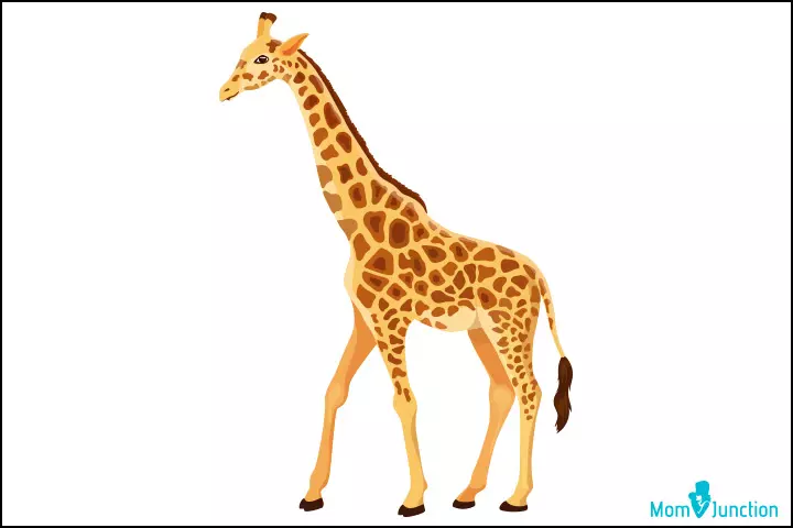 How to draw a giraffe