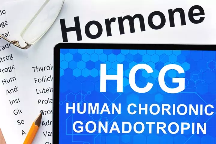 hCG hormone is found in the urine of pregnant women