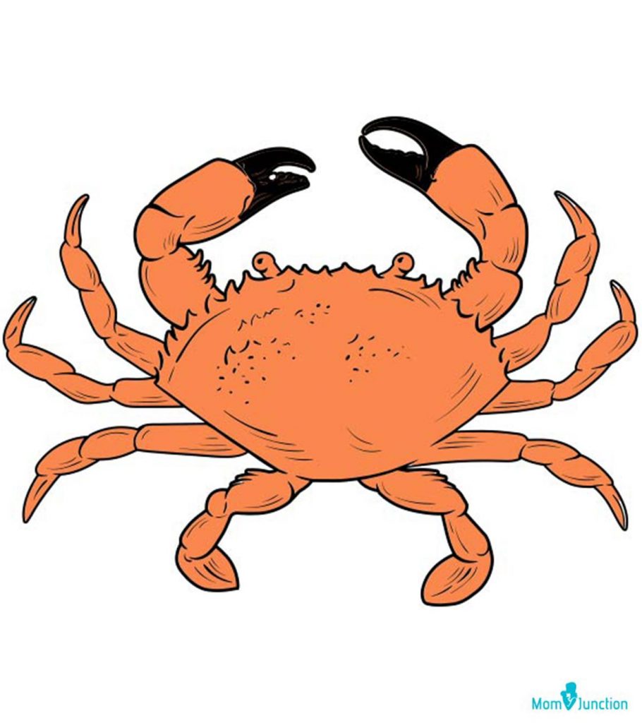 How To Draw A Crab For Kids A StepByStep Tutorial