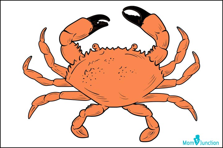 How to draw a crab final step