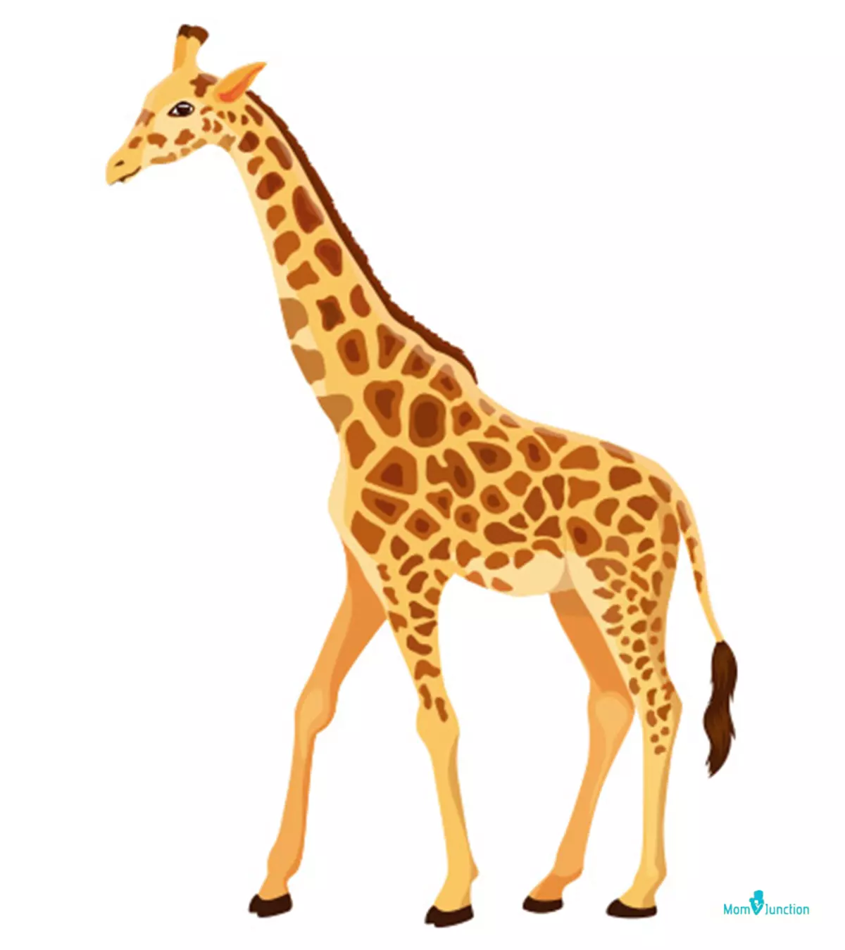 How To Draw A Giraffe