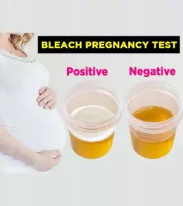 Is The Bleach Pregnancy Test Accurate And Reliable?