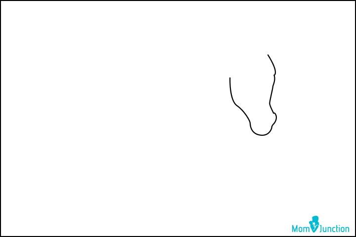 How to draw a donkey step one