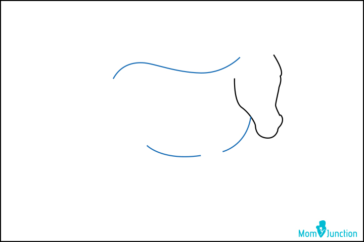 How to draw a donkey step two