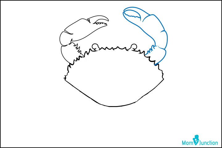 How to draw a crab step three