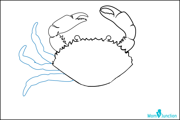 How to draw a crab step four