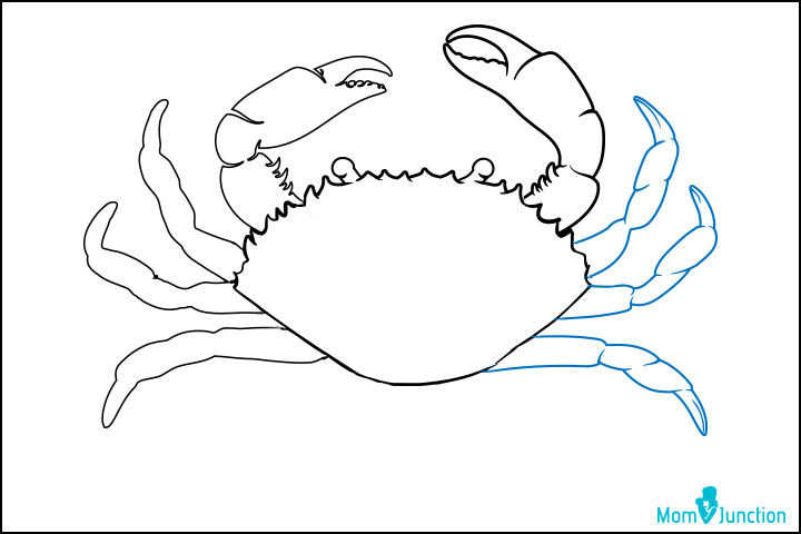 How to draw a crab step five