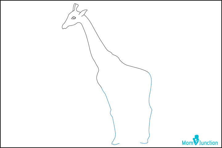 Step 6, how to draw a giraffe
