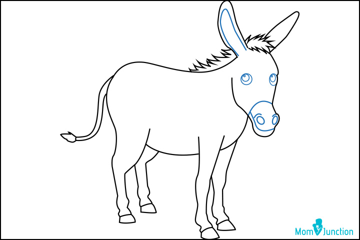 How to draw a donkey step six