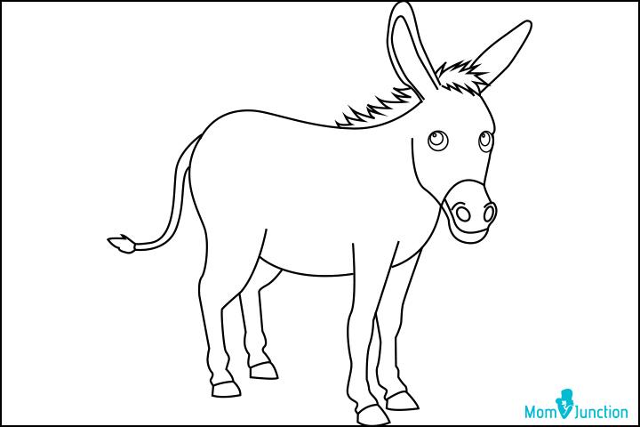 How To Draw A Donkey - Step by Step Process