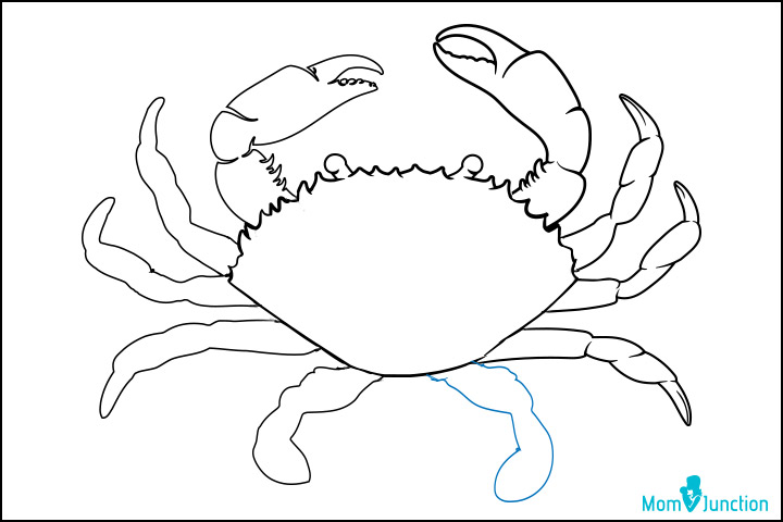 How to draw a crab step seven