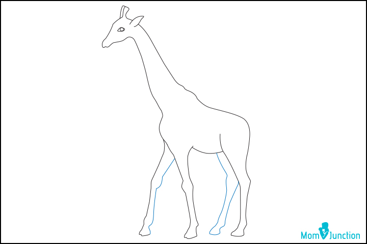 Step 8, how to draw a giraffe