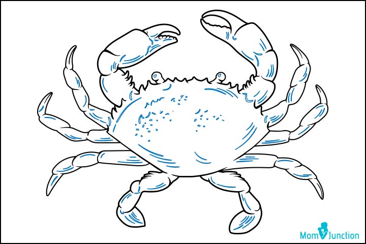 How to draw a crab step eight