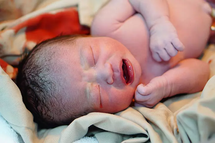 They Burn Infant Brown Fat To Prevent Hypothermia