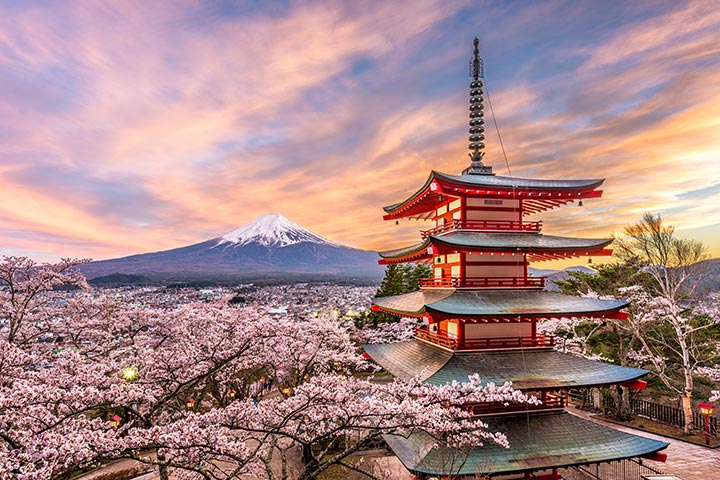 43 interesting facts about the island nation of Japan